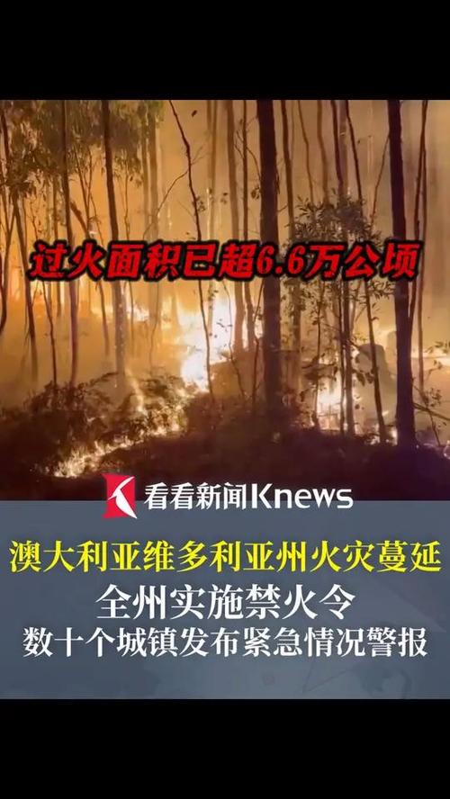 关于“澳大利亚疫情美国疫情”你可能想知道-第6张图片