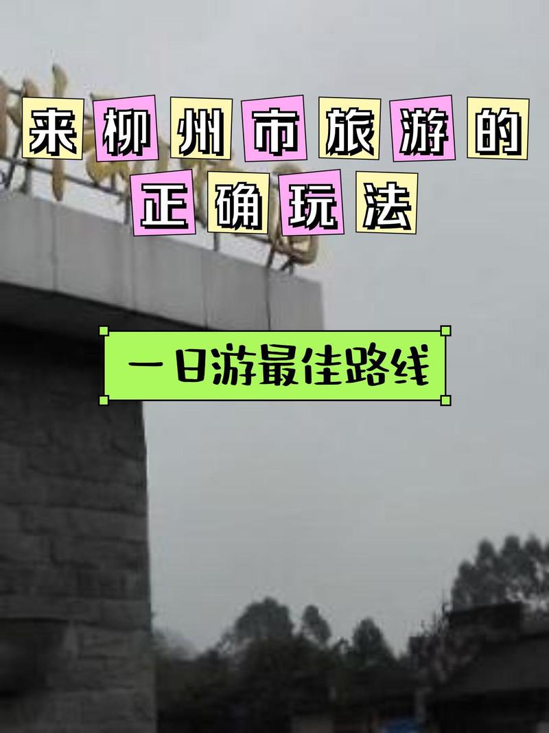 柳州限行/柳州限行规定2024最新-第7张图片 柳州限行/柳州限行规定2024最新-第7张图片