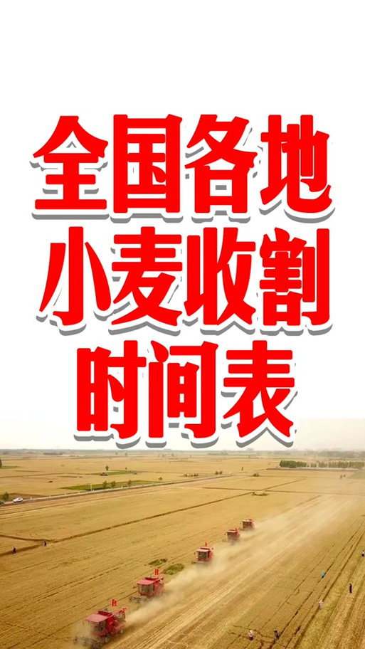【安徽阜阳天气预报/安徽阜阳天气预报30天查询百度】-第3张图片