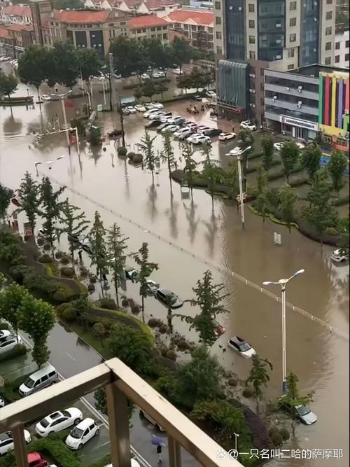 临沂天气预报15天，临沂天气预报15天当地天气查询表临沂天气预报30天