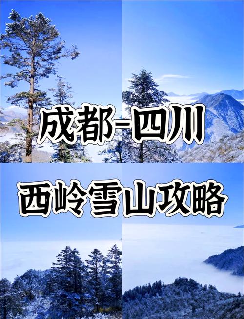 巴中天气/巴中天气预报15天最新-第5张图片 巴中天气/巴中天气预报15天最新-第5张图片