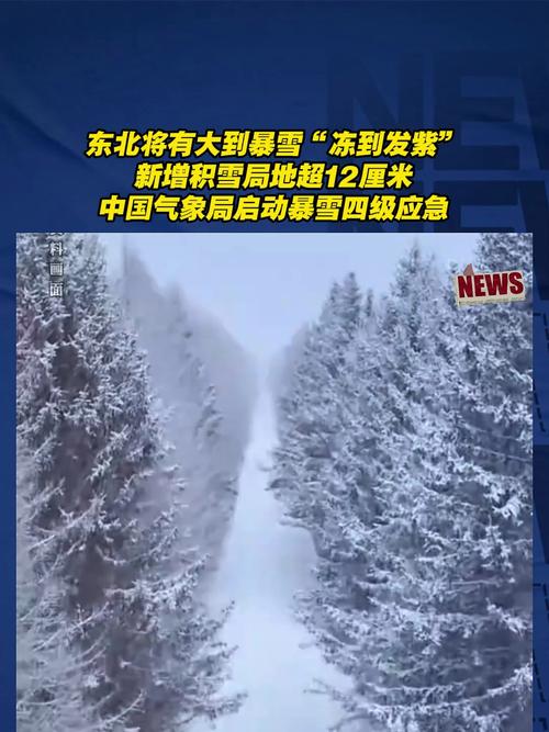 伊春市天气预报,伊春市天气预报30天查询-第6张图片 伊春市天气预报,伊春市天气预报30天查询-第6张图片