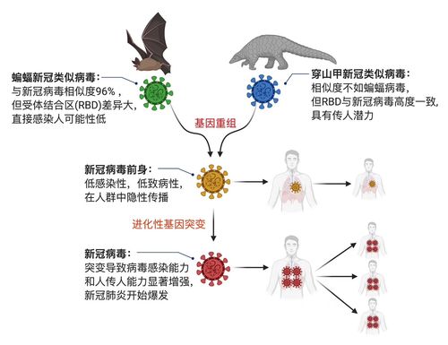 疫情的由来-疫情的由来简介-第7张图片