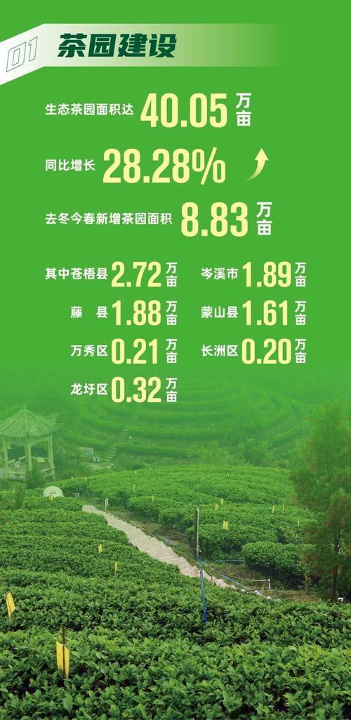 安徽疫情茶叶/疫情茶叶市场-第5张图片 安徽疫情茶叶/疫情茶叶市场-第5张图片