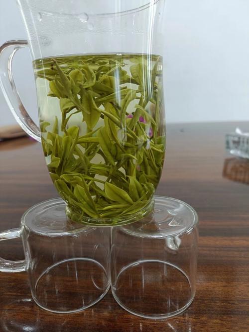 安吉白茶疫情-安吉白茶宣传片-第5张图片 安吉白茶疫情-安吉白茶宣传片-第5张图片