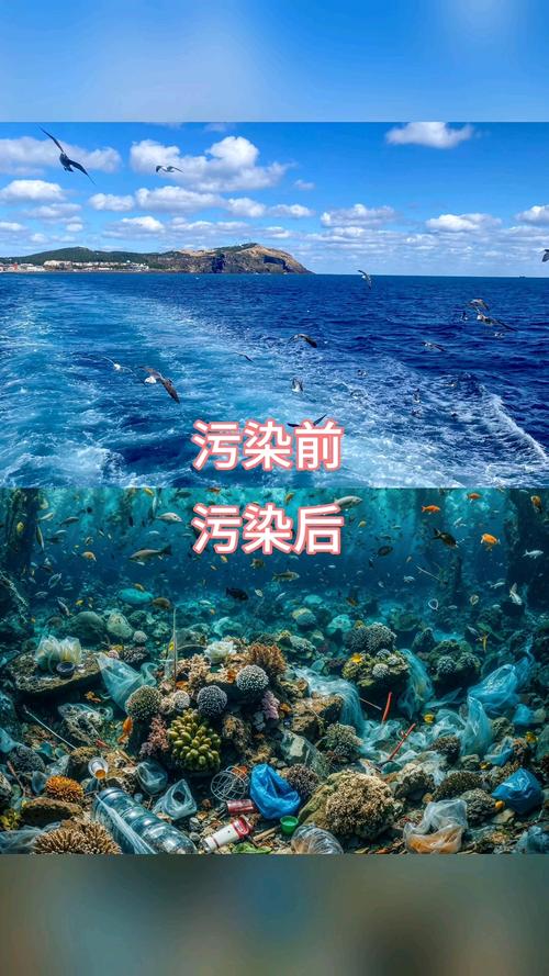 大连甲肝疫情/大连病情-第3张图片 大连甲肝疫情/大连病情-第3张图片