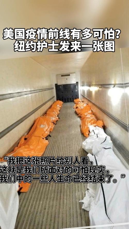关于“疫情照片”你可能想知道-第7张图片 关于“疫情照片”你可能想知道-第7张图片
