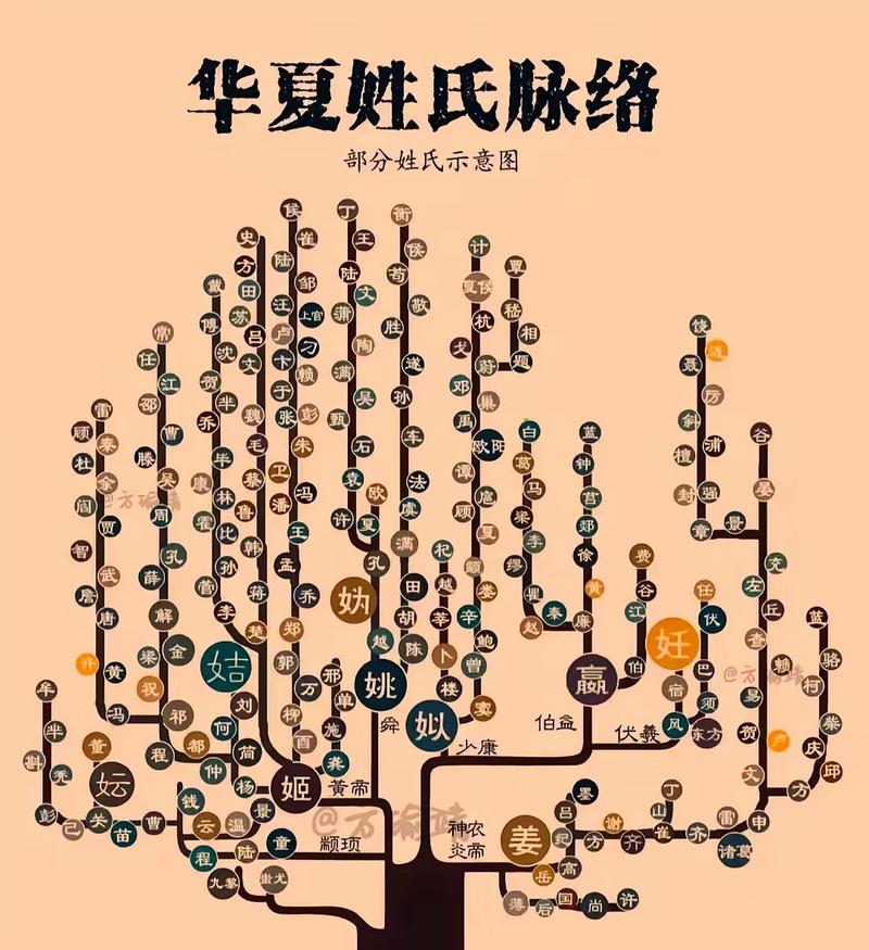 关于“安阳鲁姓疫情”你可能想知道-第4张图片 关于“安阳鲁姓疫情”你可能想知道-第4张图片