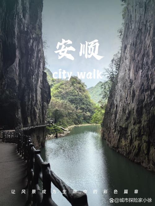 关于“安顺疫情政策”你可能想知道-第4张图片 关于“安顺疫情政策”你可能想知道-第4张图片