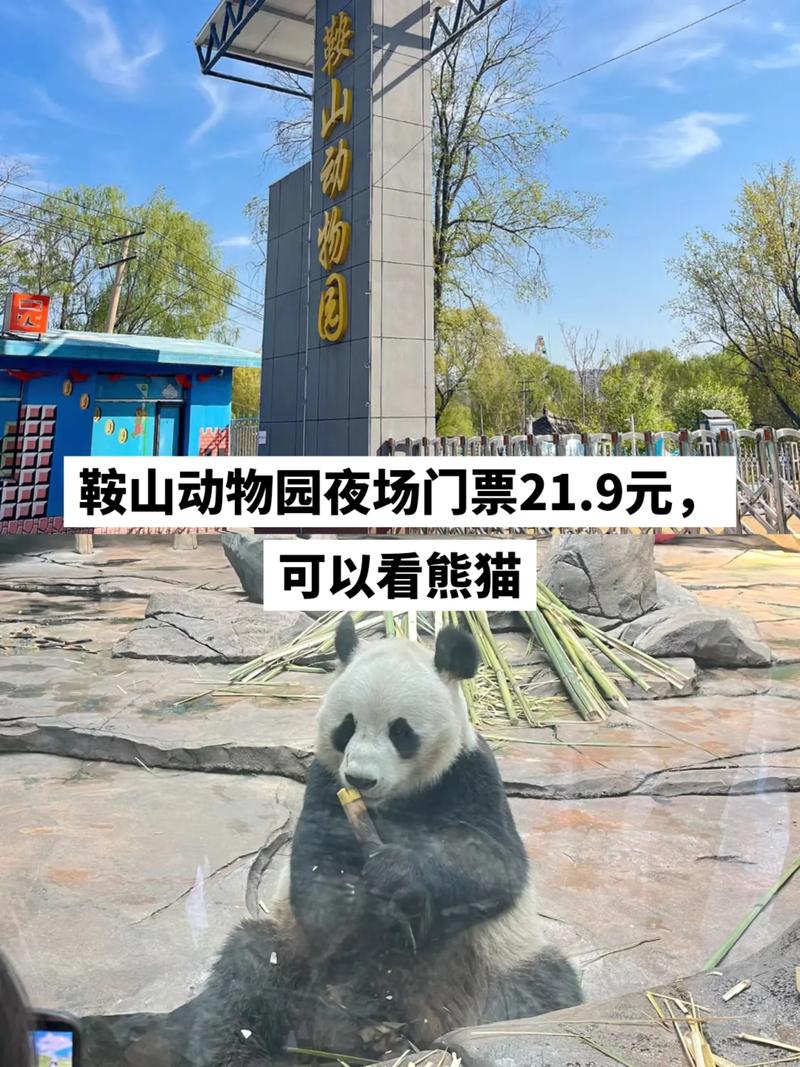 鞍钢疫情防控,鞍钢集团疫情防控报告-第5张图片 鞍钢疫情防控,鞍钢集团疫情防控报告-第5张图片