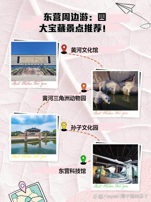 东营市天气预报,东营市天气预报一周 7天查询-第7张图片 东营市天气预报,东营市天气预报一周 7天查询-第7张图片