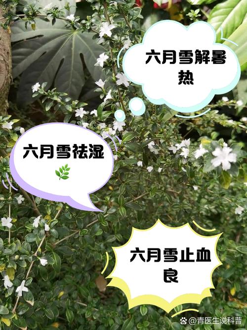 关于“张家口天气预报”你可能想知道-第7张图片 关于“张家口天气预报”你可能想知道-第7张图片
