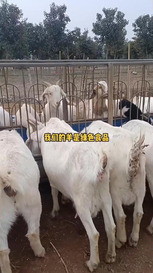 关于“安义疫情情况”你可能想知道-第3张图片