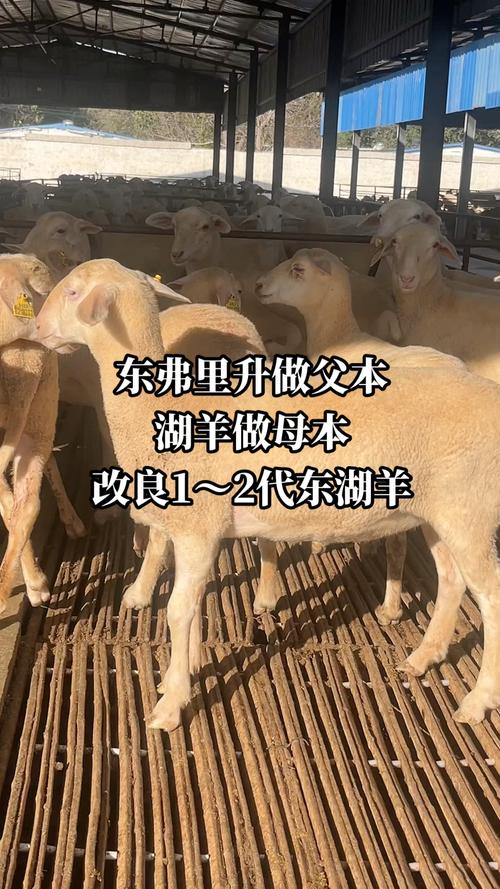 关于“安义疫情情况”你可能想知道-第4张图片