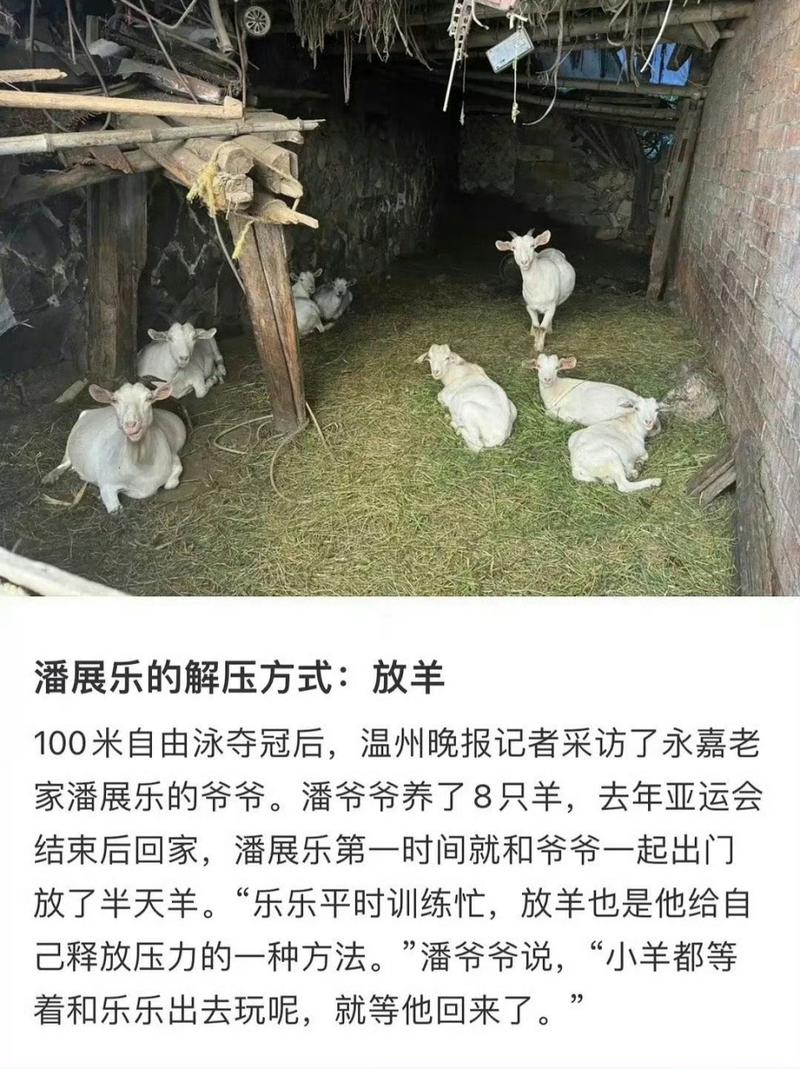 关于“安义疫情情况”你可能想知道-第6张图片