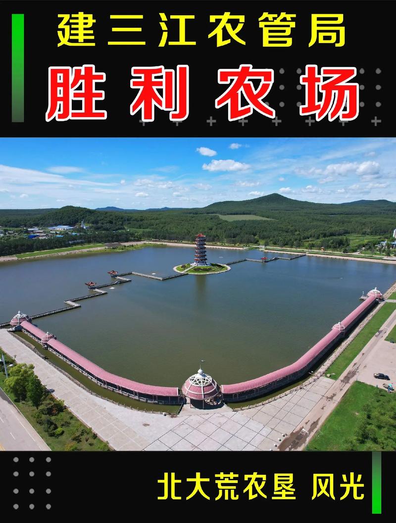 关于“双鸭山天气预报一周”你可能想知道-第4张图片 关于“双鸭山天气预报一周”你可能想知道-第4张图片