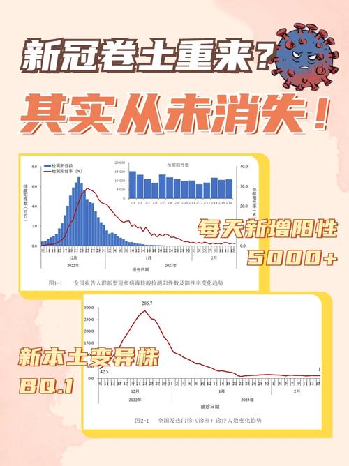 【2022年中国疫情会结束吗/2022年中国疫情会结束吗现在】-第1张图片 【2022年中国疫情会结束吗/2022年中国疫情会结束吗现在】-第1张图片