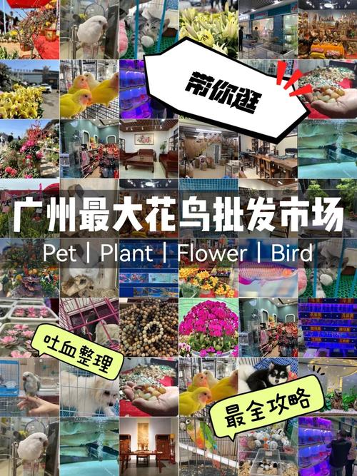 芳村限行-芳村限行货车吗?-第5张图片