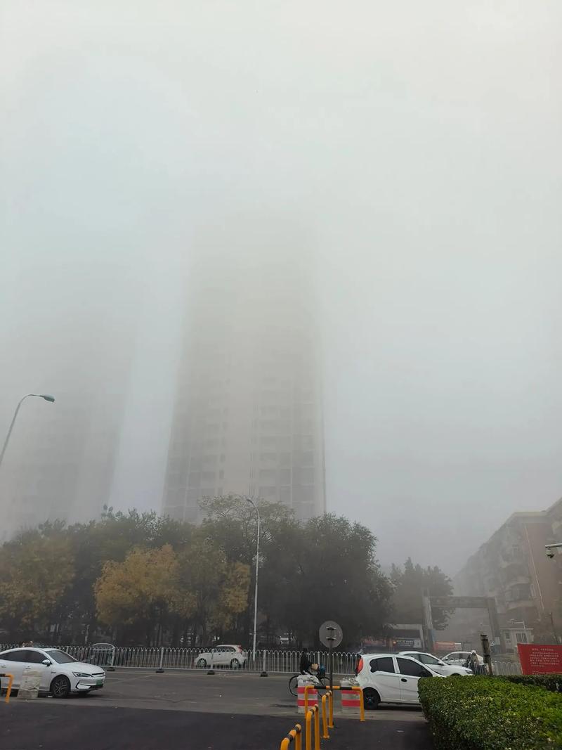 【滨海新区天气预报/滨海新区天气预报30天查询】
