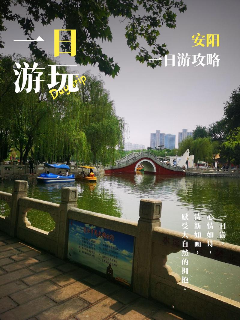 关于“安阳疫情防护”你可能想知道-第4张图片 关于“安阳疫情防护”你可能想知道-第4张图片