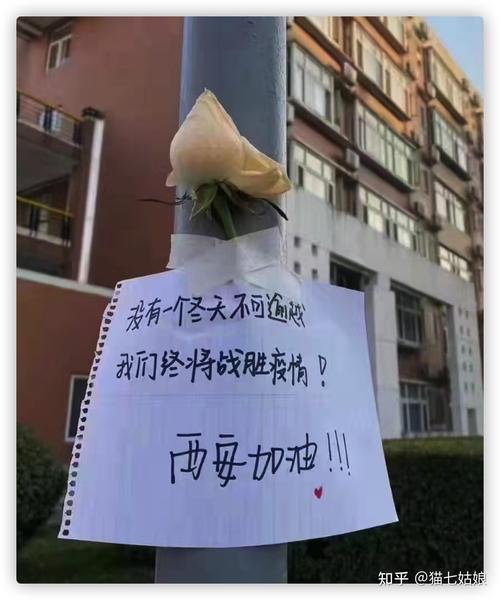 西安疫情数据/西安疫情数据实时更新-第4张图片 西安疫情数据/西安疫情数据实时更新-第4张图片