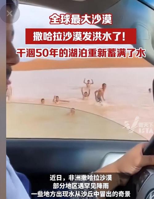 郑州一周天气预报,郑州一周天气预报7天查询结果-第1张图片 郑州一周天气预报,郑州一周天气预报7天查询结果-第1张图片