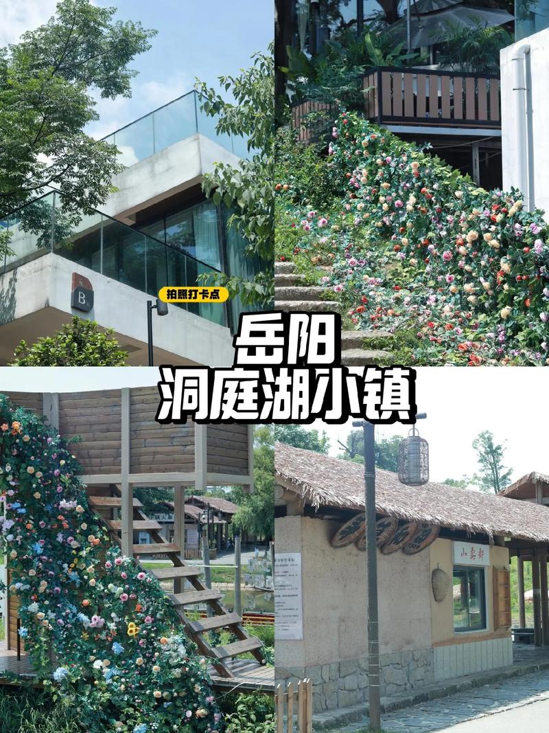 【安乡疫情举报/安乡县防控指挥部公告】-第5张图片