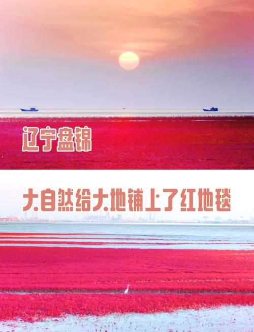 盘锦天气,盘锦天气预报15天查询-第2张图片 盘锦天气,盘锦天气预报15天查询-第2张图片
