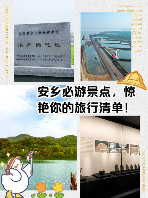 关于“安乡疫情第八”你可能想知道-第2张图片