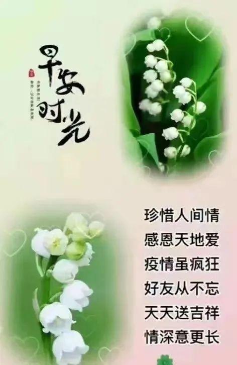 【安全躲过疫情/躲避疫情的句子】-第2张图片 【安全躲过疫情/躲避疫情的句子】-第2张图片
