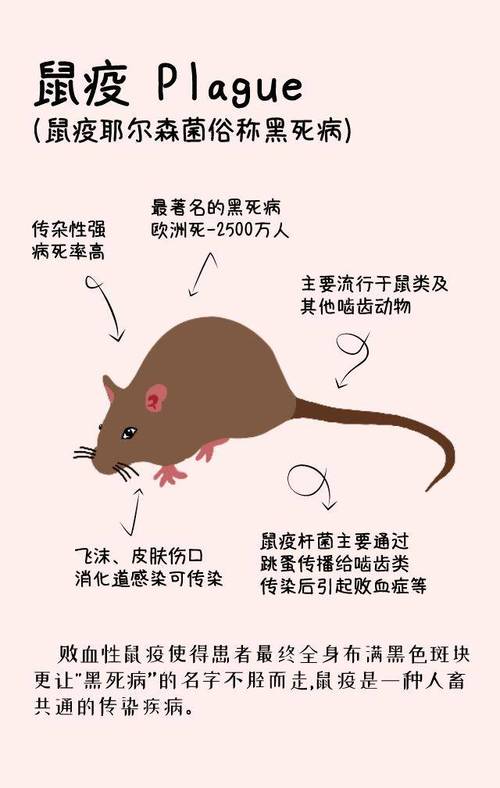 关于“安全栓疫情”你可能想知道-第4张图片
