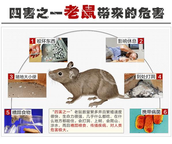 关于“安全栓疫情”你可能想知道-第5张图片