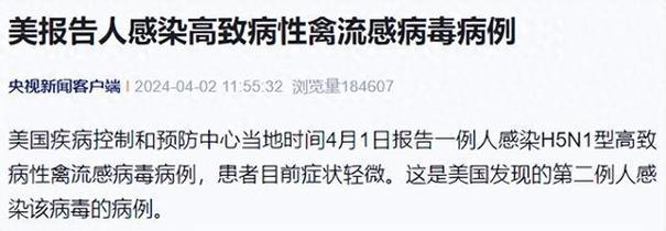 关于“安庆心肺疫情”你可能想知道-第4张图片 关于“安庆心肺疫情”你可能想知道-第4张图片
