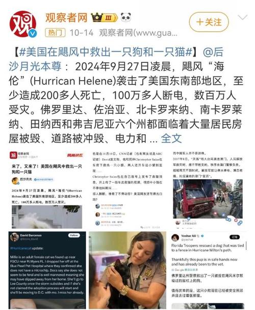 特朗普称赞中国疫情防控成果/特朗普称赞中国疫情防控成果的句子-第4张图片 特朗普称赞中国疫情防控成果/特朗普称赞中国疫情防控成果的句子-第4张图片
