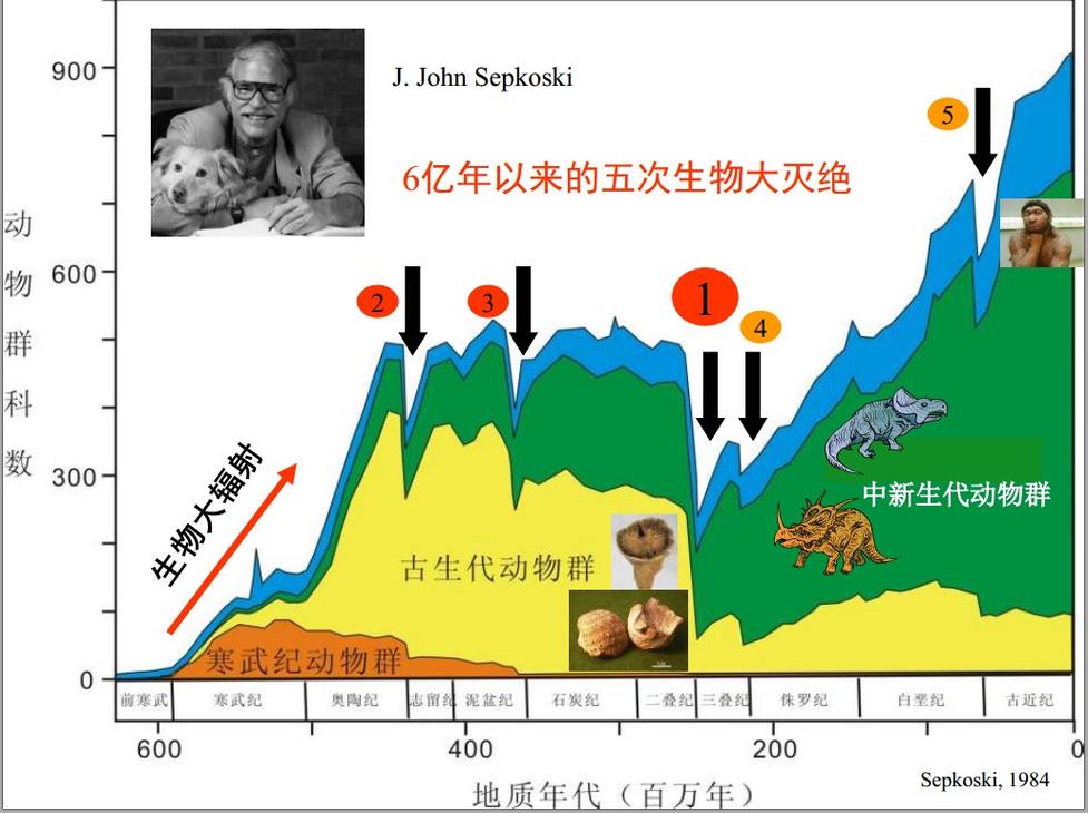 【奥陶纪疫情/奥陶纪景区门票】-第3张图片 【奥陶纪疫情/奥陶纪景区门票】-第3张图片