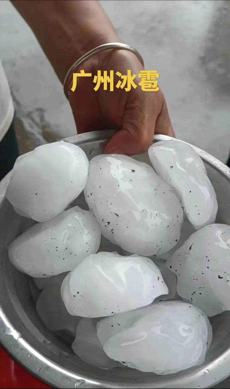 广州从化天气-广州从化天气预报15天准确一览表-第4张图片 广州从化天气-广州从化天气预报15天准确一览表-第4张图片