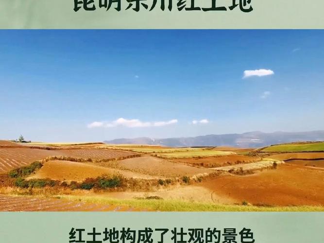 昆明市东川区天气-昆明市东川区天气预报一周七天-第7张图片 昆明市东川区天气-昆明市东川区天气预报一周七天-第7张图片