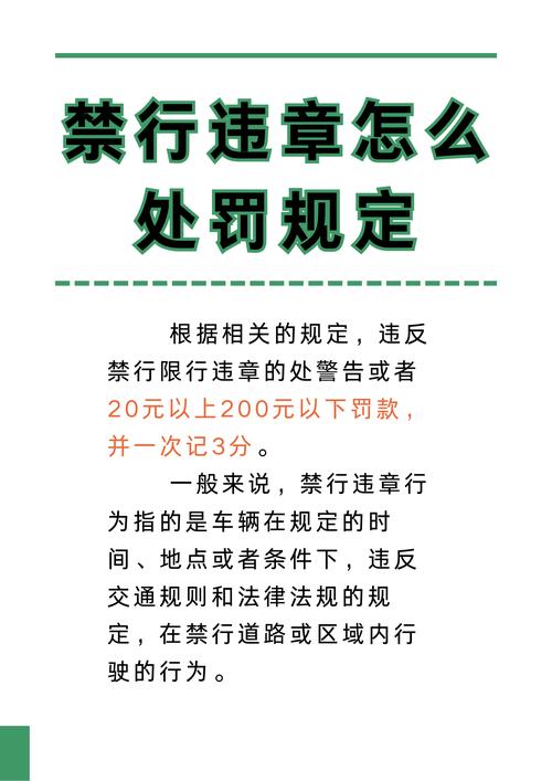 关于“限行违章处罚”你可能想知道-第6张图片 关于“限行违章处罚”你可能想知道-第6张图片