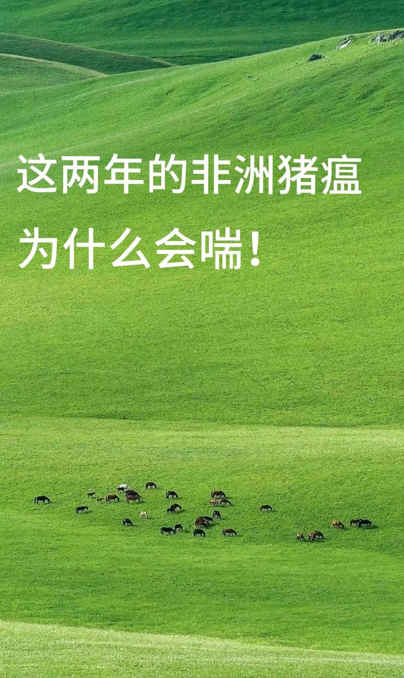 鞍山非洲猪疫情-辽宁鞍山猪肉费用今日价一斤-第1张图片 鞍山非洲猪疫情-辽宁鞍山猪肉费用今日价一斤-第1张图片
