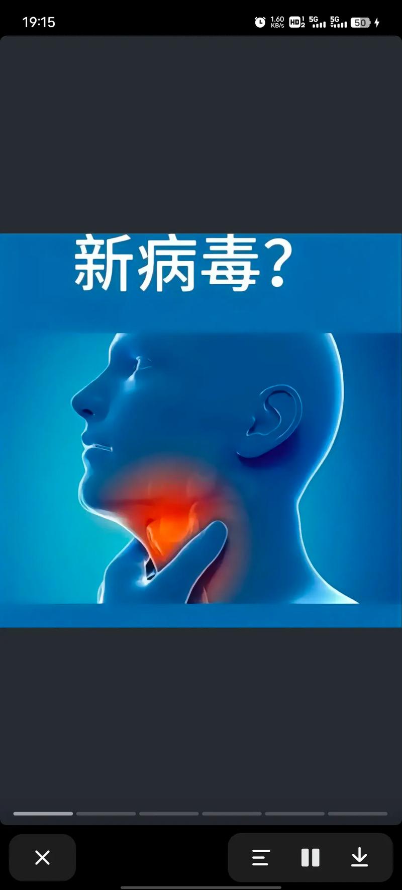 【安地瓜疫情/安徽地瓜费用行情】-第1张图片 【安地瓜疫情/安徽地瓜费用行情】-第1张图片