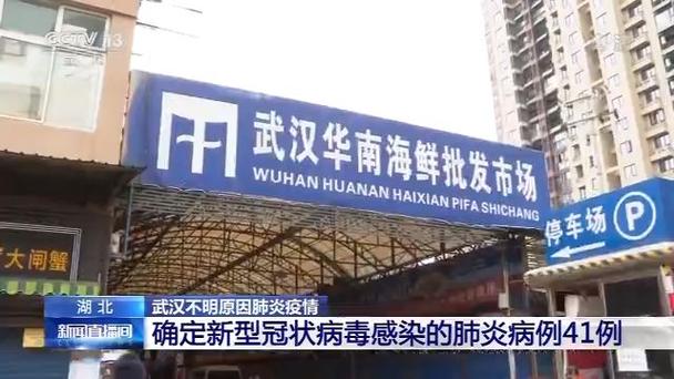 关于“2019年武汉疫情”你可能想知道-第3张图片 关于“2019年武汉疫情”你可能想知道-第3张图片