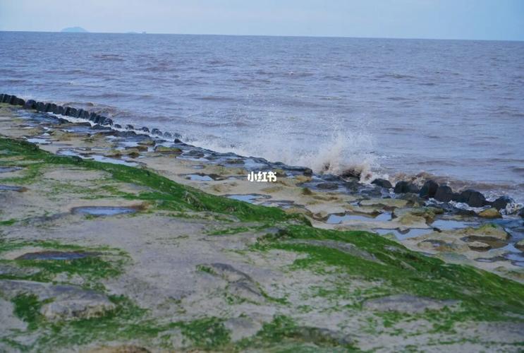 海盐县天气预报,海盐县天气预报详情-第2张图片 海盐县天气预报,海盐县天气预报详情-第2张图片