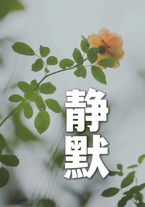 安阳卡疫情,安阳官方疫情报告-第4张图片 安阳卡疫情,安阳官方疫情报告-第4张图片