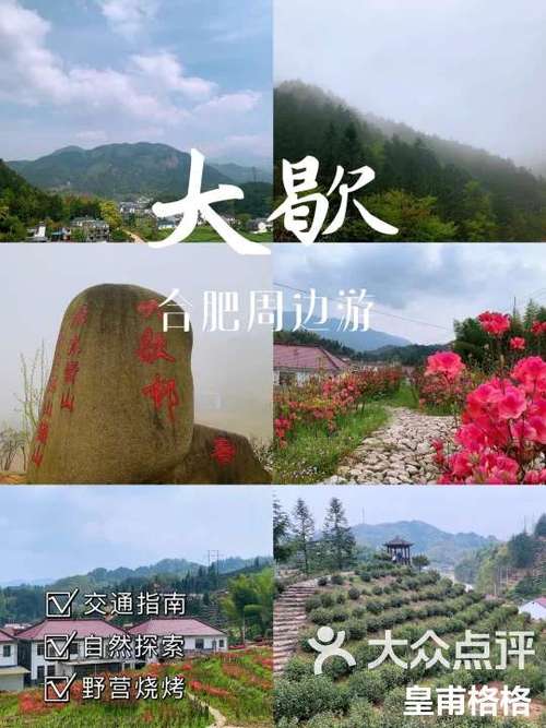关于“安徽岳西疫情”你可能想知道-第4张图片 关于“安徽岳西疫情”你可能想知道-第4张图片