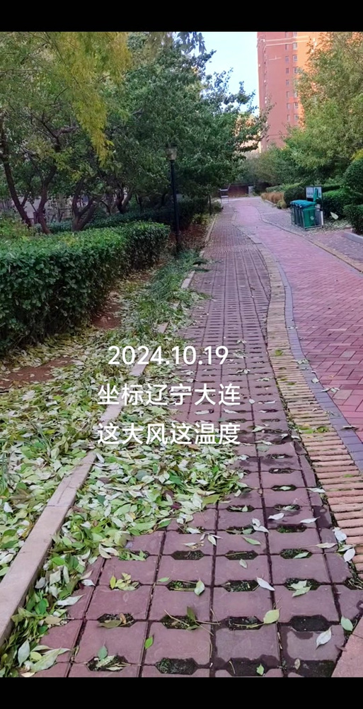 辽宁大连天气,辽宁大连天气预报15天查询结果-第1张图片 辽宁大连天气,辽宁大连天气预报15天查询结果-第1张图片