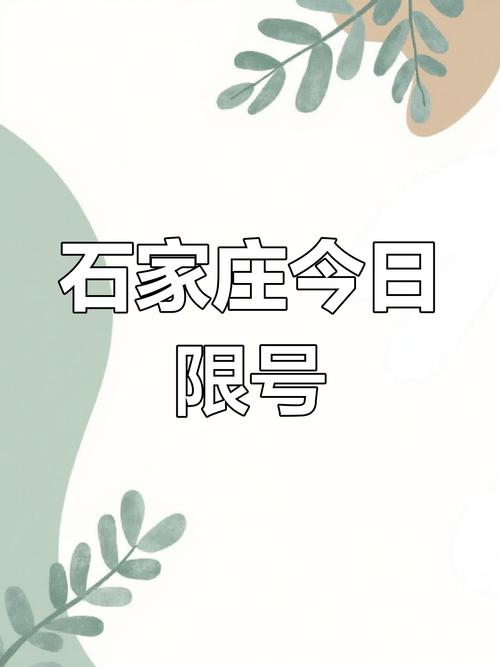 关于“石家庄限行今天”你可能想知道-第3张图片 关于“石家庄限行今天”你可能想知道-第3张图片