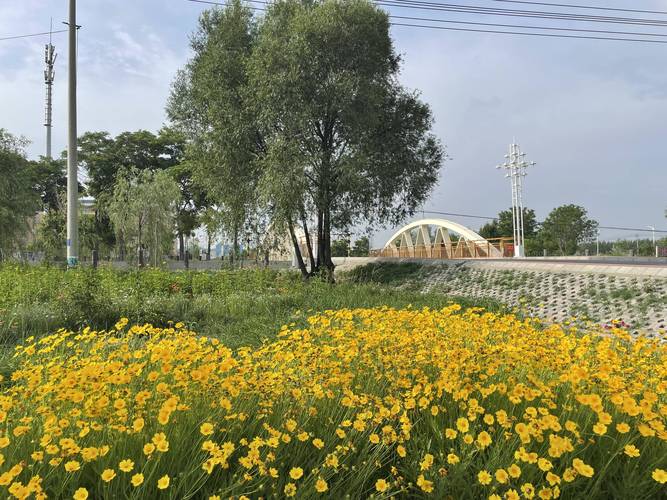 宁夏吴忠市天气预报/宁夏吴忠市天气预报30天-第5张图片 宁夏吴忠市天气预报/宁夏吴忠市天气预报30天-第5张图片