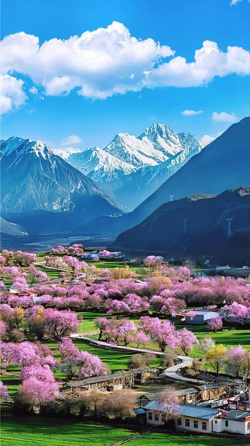 林芝天气,林芝天气15天预报 西藏-第3张图片 林芝天气,林芝天气15天预报 西藏-第3张图片