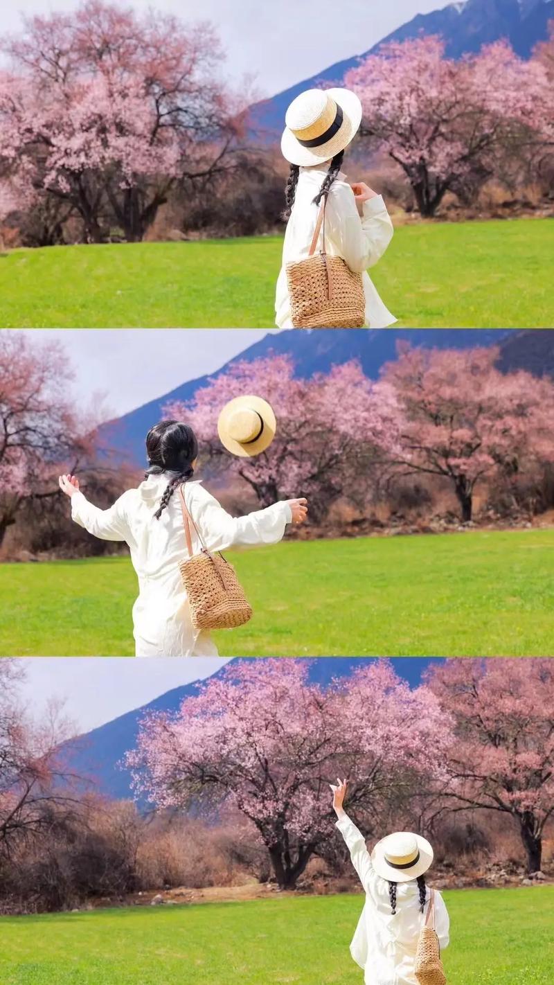 林芝天气,林芝天气15天预报 西藏-第5张图片 林芝天气,林芝天气15天预报 西藏-第5张图片