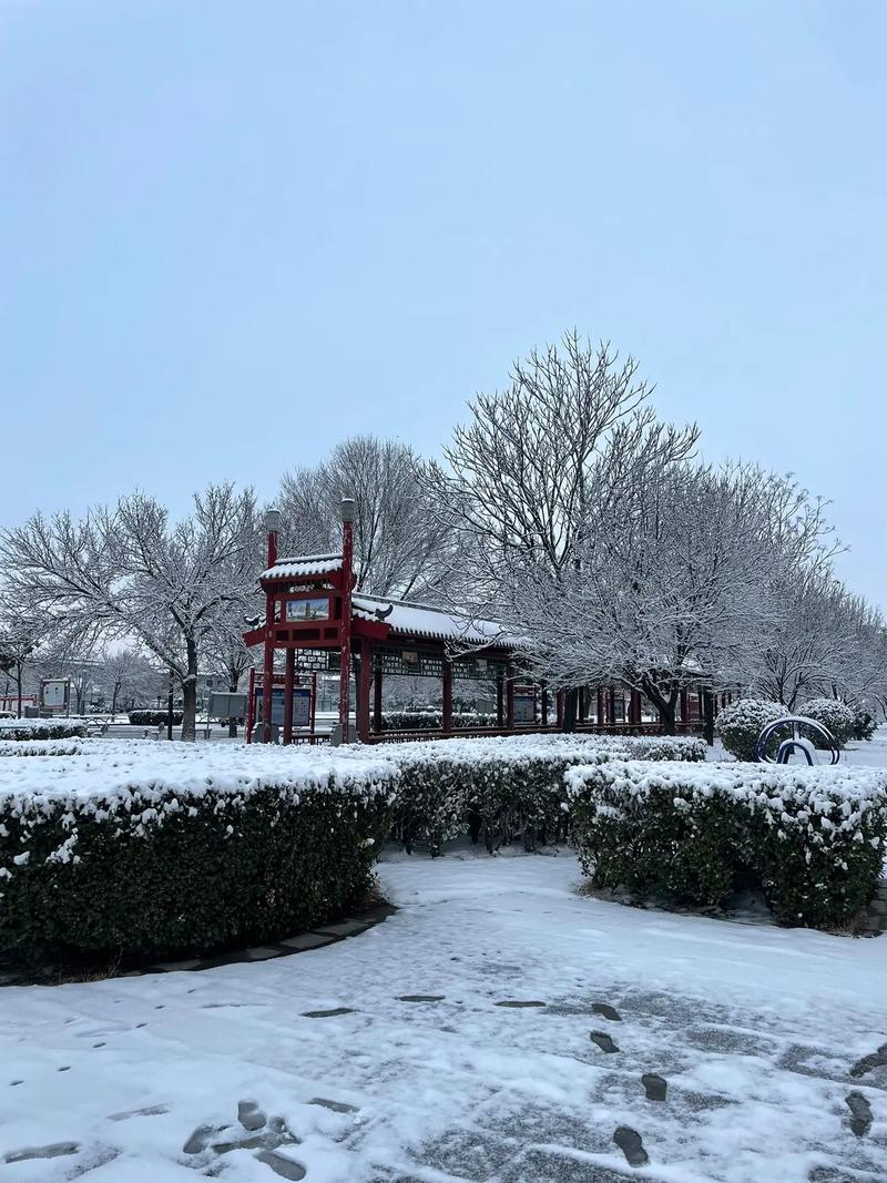 河南周口天气预报,河南周口天气预报15天-第5张图片 河南周口天气预报,河南周口天气预报15天-第5张图片